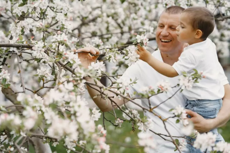 zdjęcie wyróżniające Ponad 333 tys. wniosków o 800+ w woj. śląskim